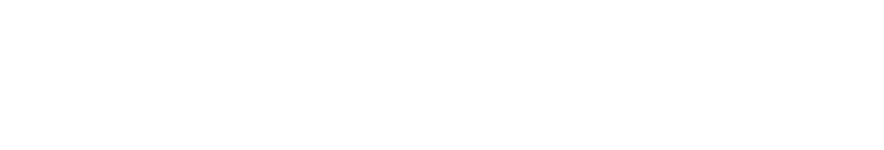 Customer Intelligence Logo