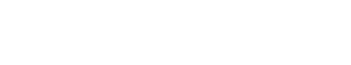 Capital Allocation Logo